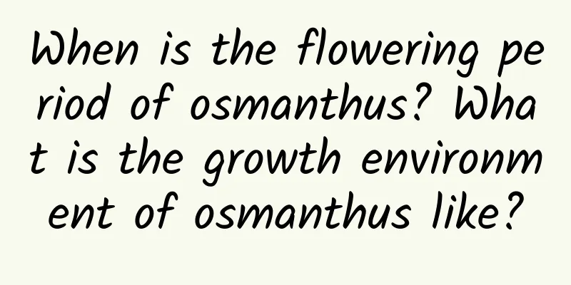 When is the flowering period of osmanthus? What is the growth environment of osmanthus like?
