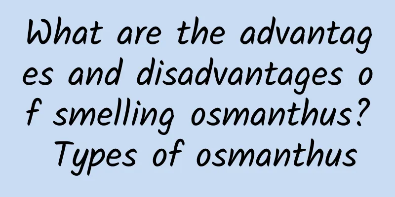 What are the advantages and disadvantages of smelling osmanthus? Types of osmanthus