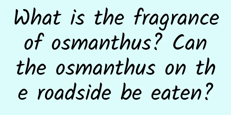 What is the fragrance of osmanthus? Can the osmanthus on the roadside be eaten?