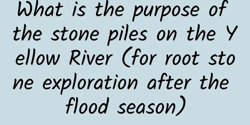 What is the purpose of the stone piles on the Yellow River (for root stone exploration after the flood season)