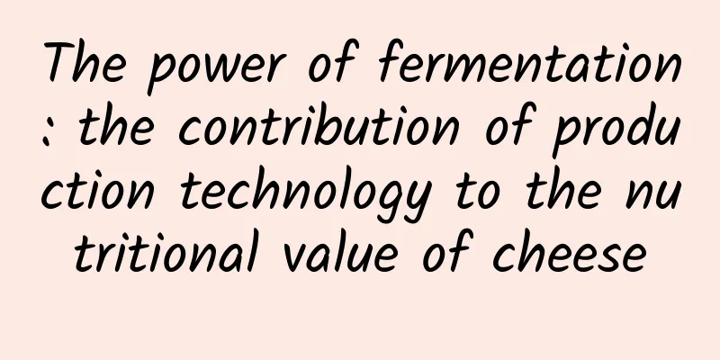 The power of fermentation: the contribution of production technology to the nutritional value of cheese