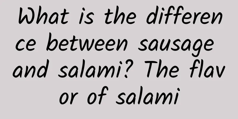 What is the difference between sausage and salami? The flavor of salami