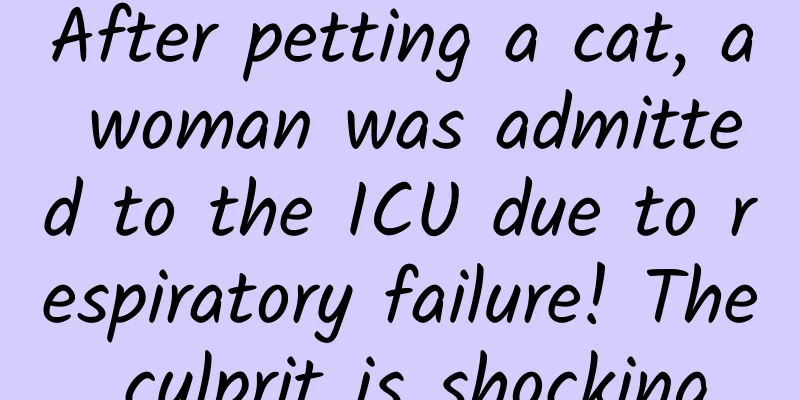 After petting a cat, a woman was admitted to the ICU due to respiratory failure! The culprit is shocking