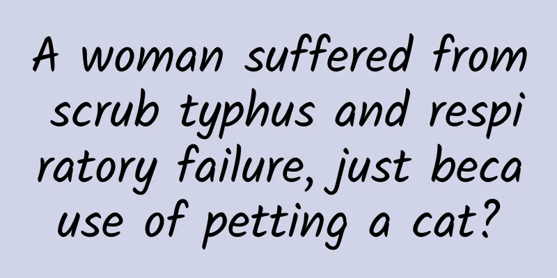 A woman suffered from scrub typhus and respiratory failure, just because of petting a cat?