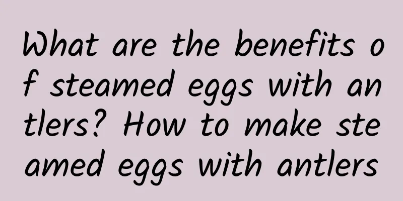 What are the benefits of steamed eggs with antlers? How to make steamed eggs with antlers