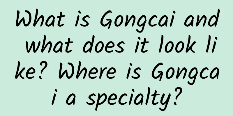What is Gongcai and what does it look like? Where is Gongcai a specialty?