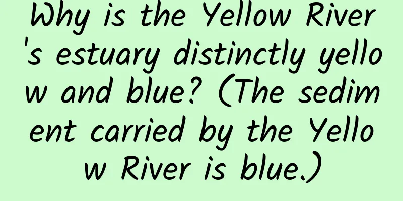 Why is the Yellow River's estuary distinctly yellow and blue? (The sediment carried by the Yellow River is blue.)