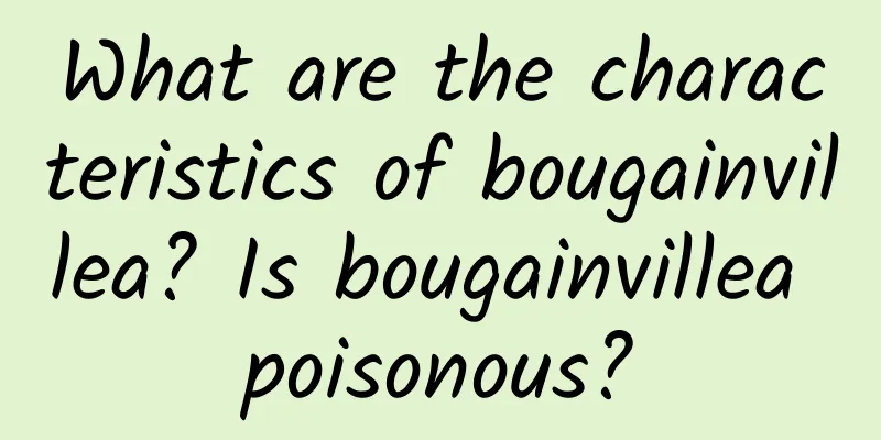 What are the characteristics of bougainvillea? Is bougainvillea poisonous?