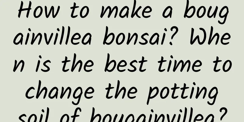 How to make a bougainvillea bonsai? When is the best time to change the potting soil of bougainvillea?