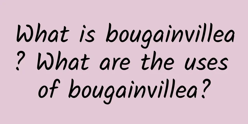 What is bougainvillea? What are the uses of bougainvillea?