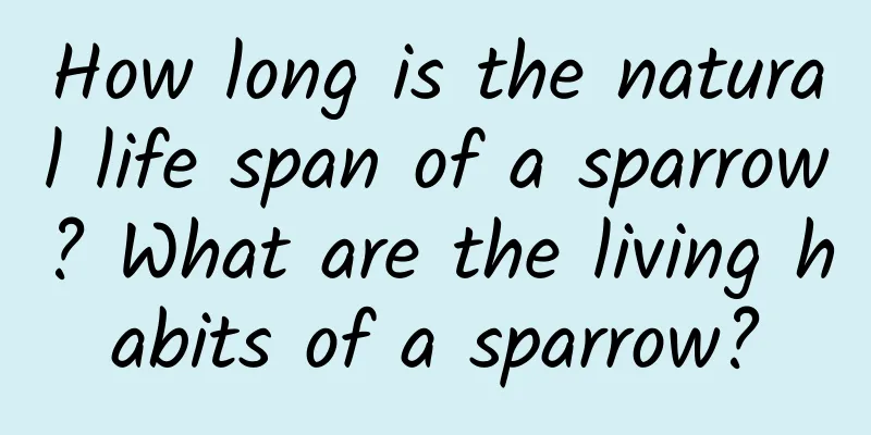 How long is the natural life span of a sparrow? What are the living habits of a sparrow?