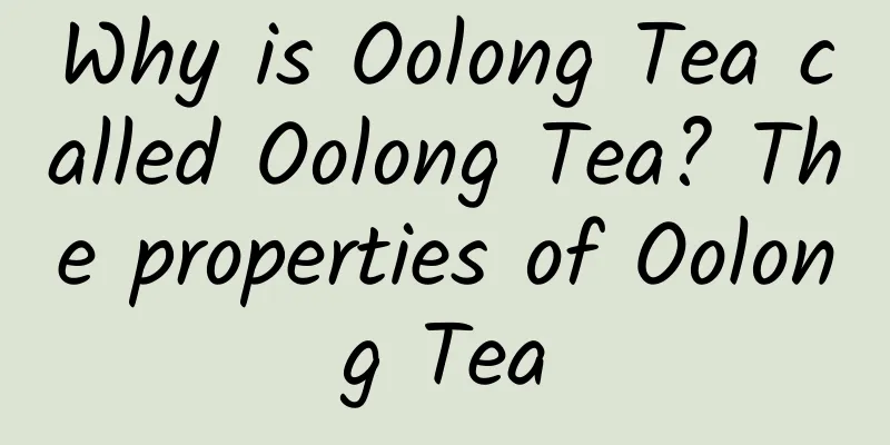 Why is Oolong Tea called Oolong Tea? The properties of Oolong Tea