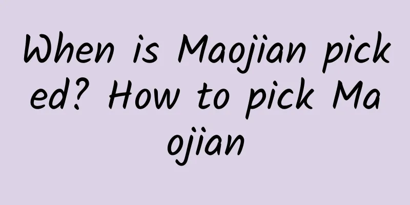 When is Maojian picked? How to pick Maojian