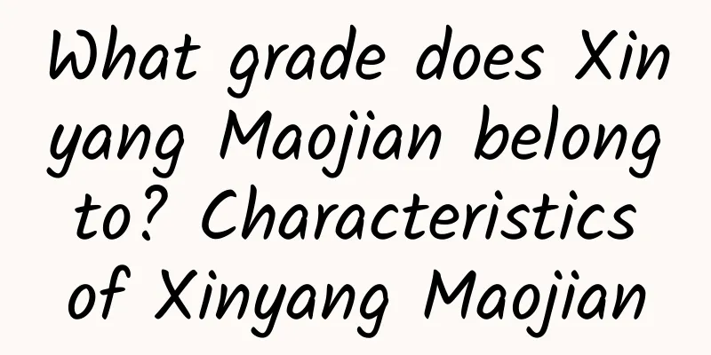 What grade does Xinyang Maojian belong to? Characteristics of Xinyang Maojian