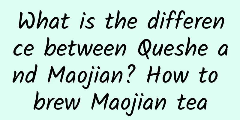What is the difference between Queshe and Maojian? How to brew Maojian tea