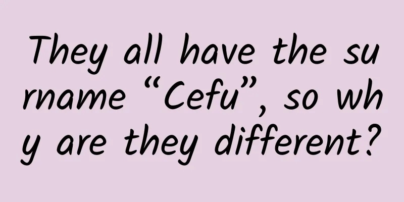 They all have the surname “Cefu”, so why are they different?