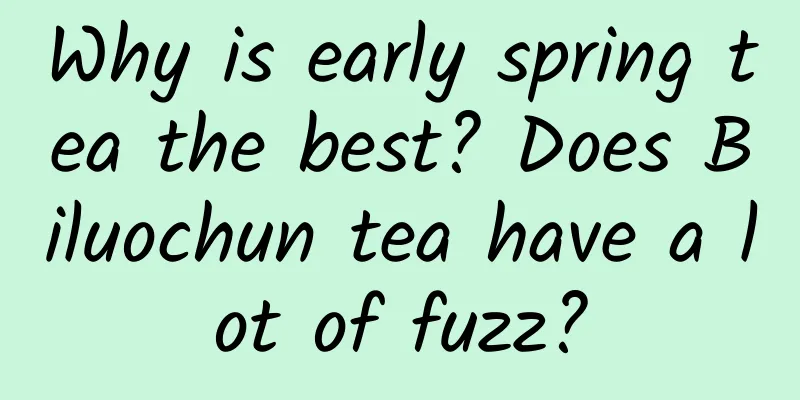 Why is early spring tea the best? Does Biluochun tea have a lot of fuzz?