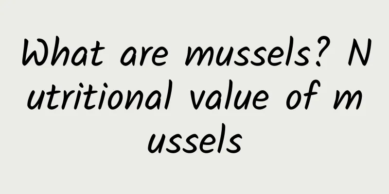 What are mussels? Nutritional value of mussels
