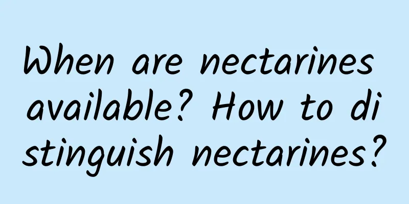 When are nectarines available? How to distinguish nectarines?