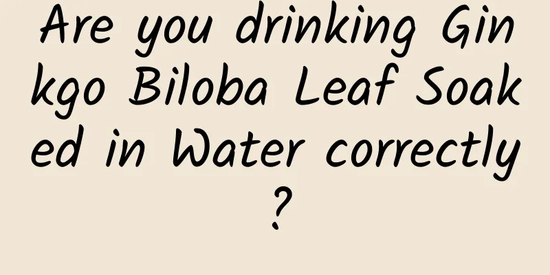 Are you drinking Ginkgo Biloba Leaf Soaked in Water correctly?