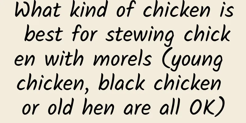 What kind of chicken is best for stewing chicken with morels (young chicken, black chicken or old hen are all OK)