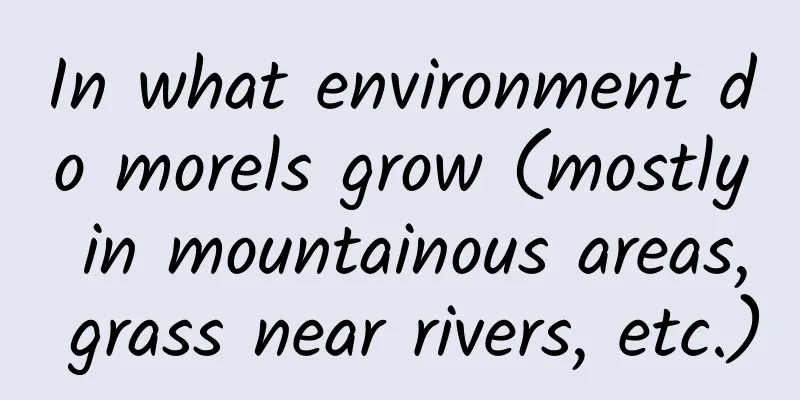 In what environment do morels grow (mostly in mountainous areas, grass near rivers, etc.)