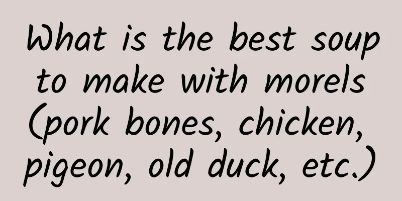 What is the best soup to make with morels (pork bones, chicken, pigeon, old duck, etc.)