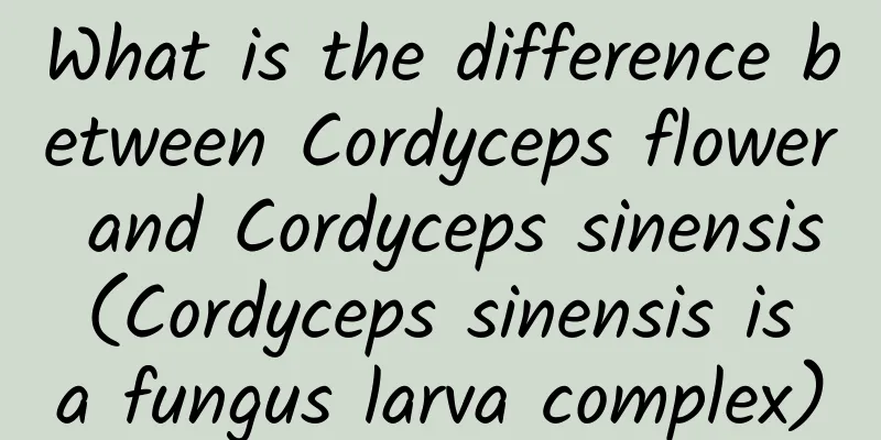 What is the difference between Cordyceps flower and Cordyceps sinensis (Cordyceps sinensis is a fungus larva complex)