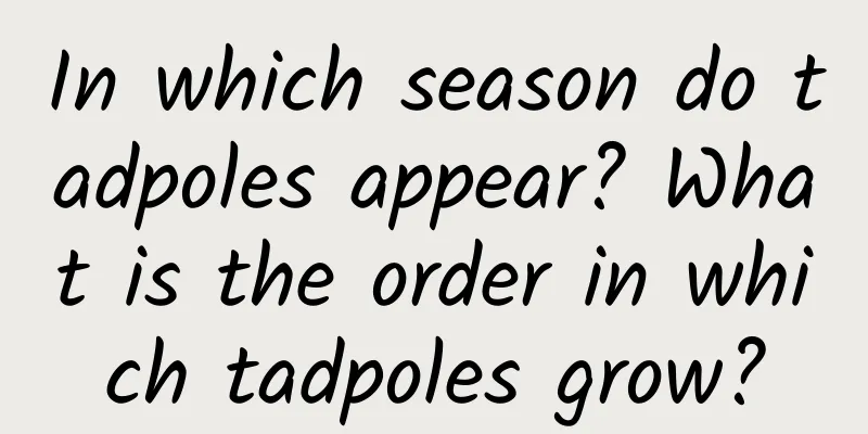 In which season do tadpoles appear? What is the order in which tadpoles grow?