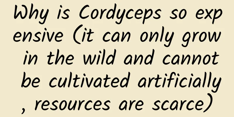 Why is Cordyceps so expensive (it can only grow in the wild and cannot be cultivated artificially, resources are scarce)