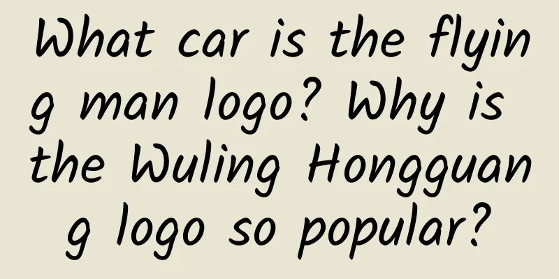 What car is the flying man logo? Why is the Wuling Hongguang logo so popular?