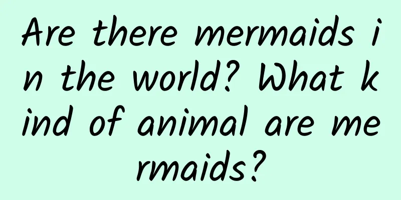 Are there mermaids in the world? What kind of animal are mermaids?