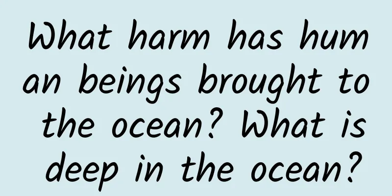 What harm has human beings brought to the ocean? What is deep in the ocean?