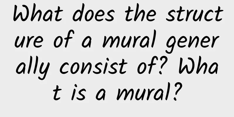 What does the structure of a mural generally consist of? What is a mural?