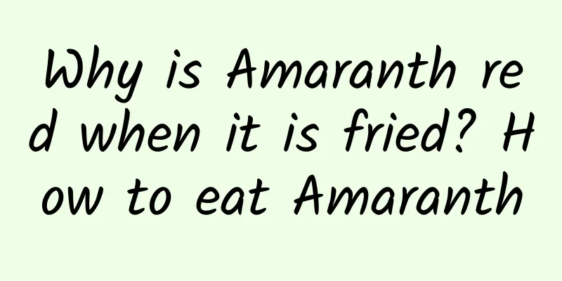 Why is Amaranth red when it is fried? How to eat Amaranth
