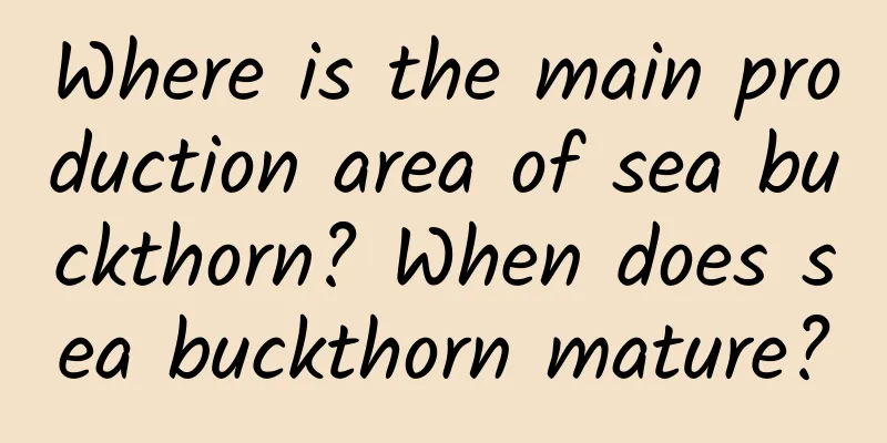Where is the main production area of ​​sea buckthorn? When does sea buckthorn mature?