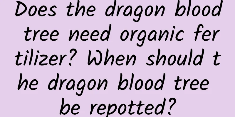 Does the dragon blood tree need organic fertilizer? When should the dragon blood tree be repotted?