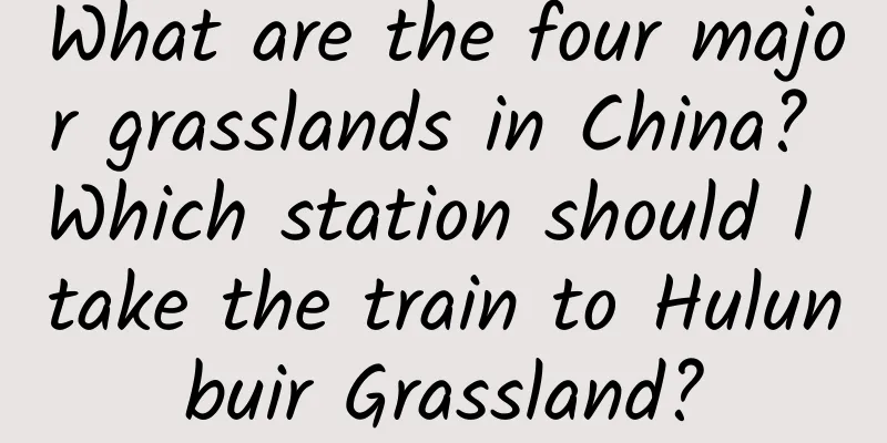 What are the four major grasslands in China? Which station should I take the train to Hulunbuir Grassland?