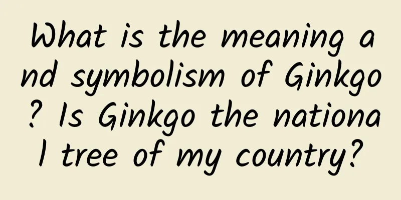 What is the meaning and symbolism of Ginkgo? Is Ginkgo the national tree of my country?