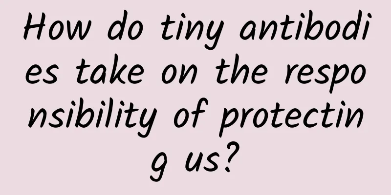 How do tiny antibodies take on the responsibility of protecting us?