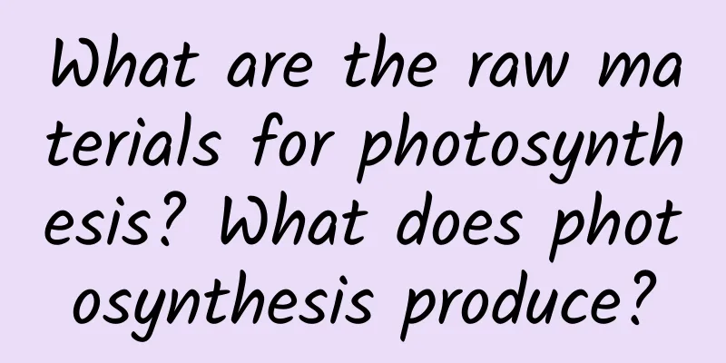 What are the raw materials for photosynthesis? What does photosynthesis produce?