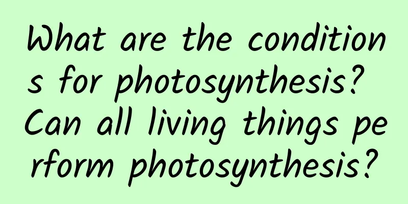 What are the conditions for photosynthesis? Can all living things perform photosynthesis?