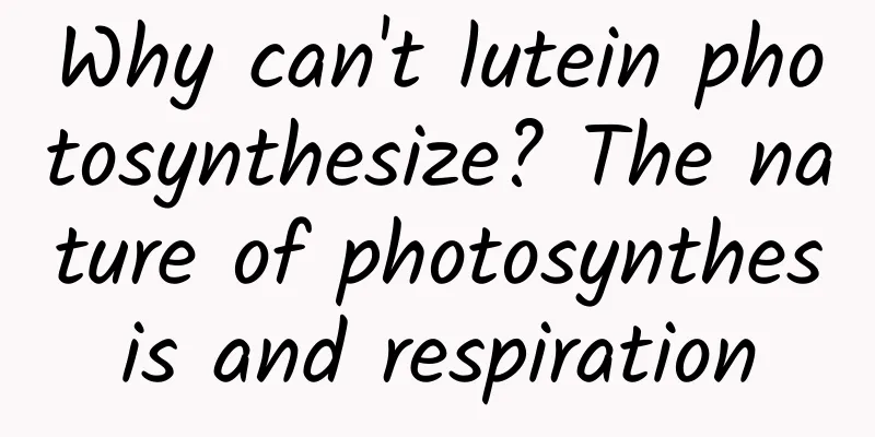 Why can't lutein photosynthesize? The nature of photosynthesis and respiration