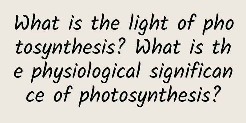 What is the light of photosynthesis? What is the physiological significance of photosynthesis?