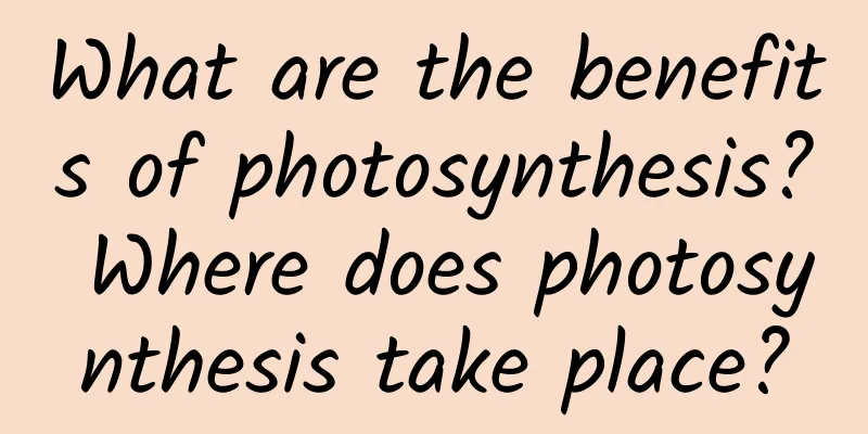 What are the benefits of photosynthesis? Where does photosynthesis take place?