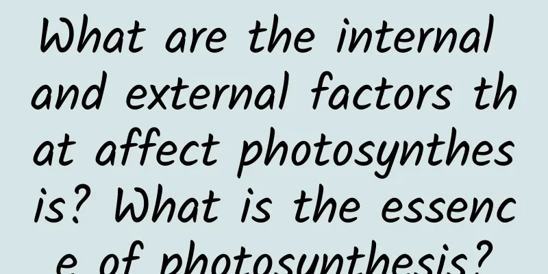 What are the internal and external factors that affect photosynthesis? What is the essence of photosynthesis?