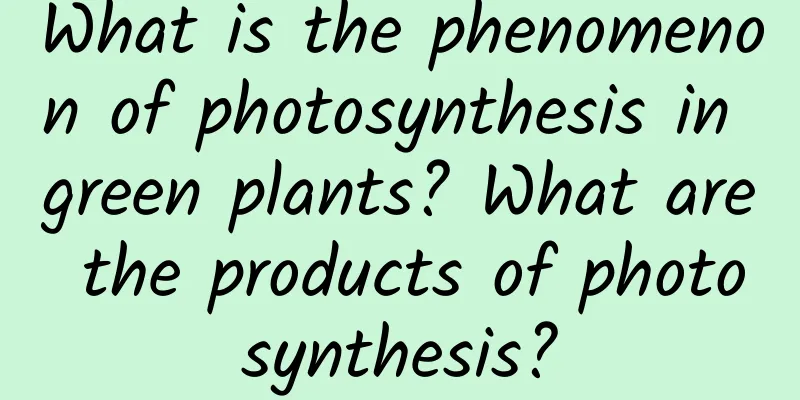 What is the phenomenon of photosynthesis in green plants? What are the products of photosynthesis?