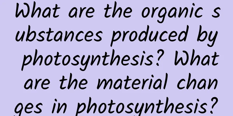 What are the organic substances produced by photosynthesis? What are the material changes in photosynthesis?