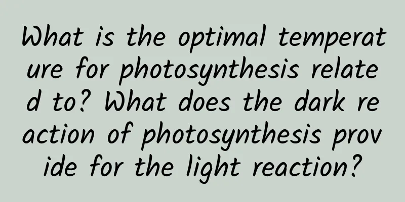 What is the optimal temperature for photosynthesis related to? What does the dark reaction of photosynthesis provide for the light reaction?