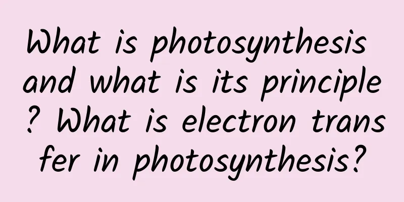What is photosynthesis and what is its principle? What is electron transfer in photosynthesis?